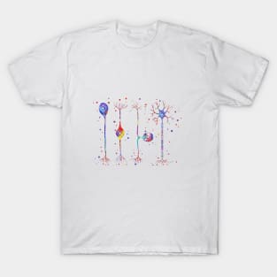 Four types of neurons T-Shirt